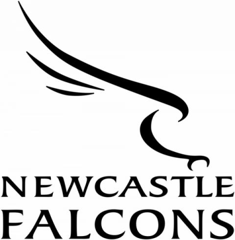 newcastle falcons logo